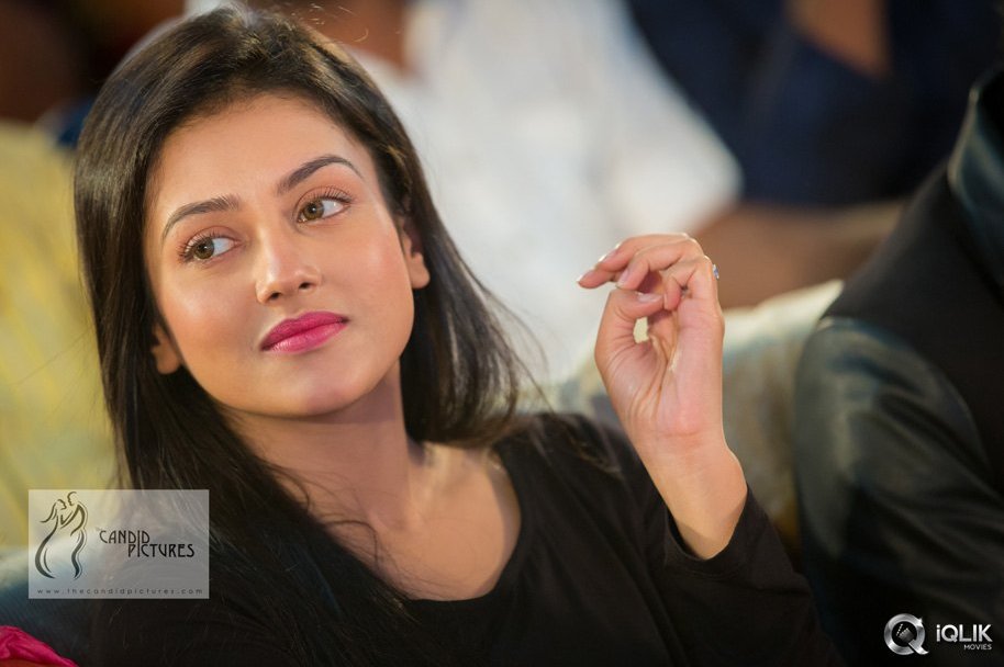 Chinnadana-Neekosam-Movie-Platinum-Disc-Function